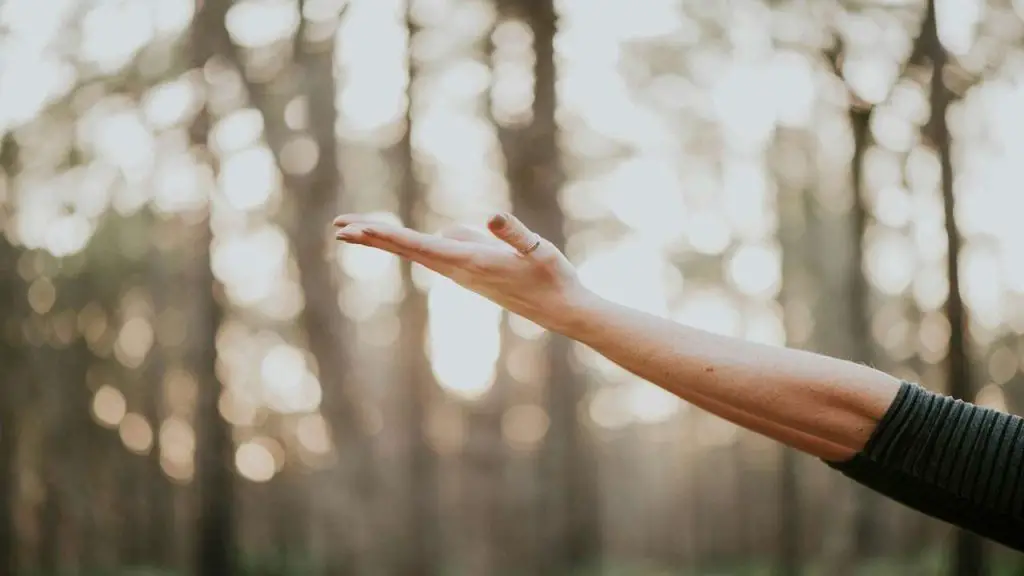 Next Chapter Mental Health: Your Path To Wellness 1 healed