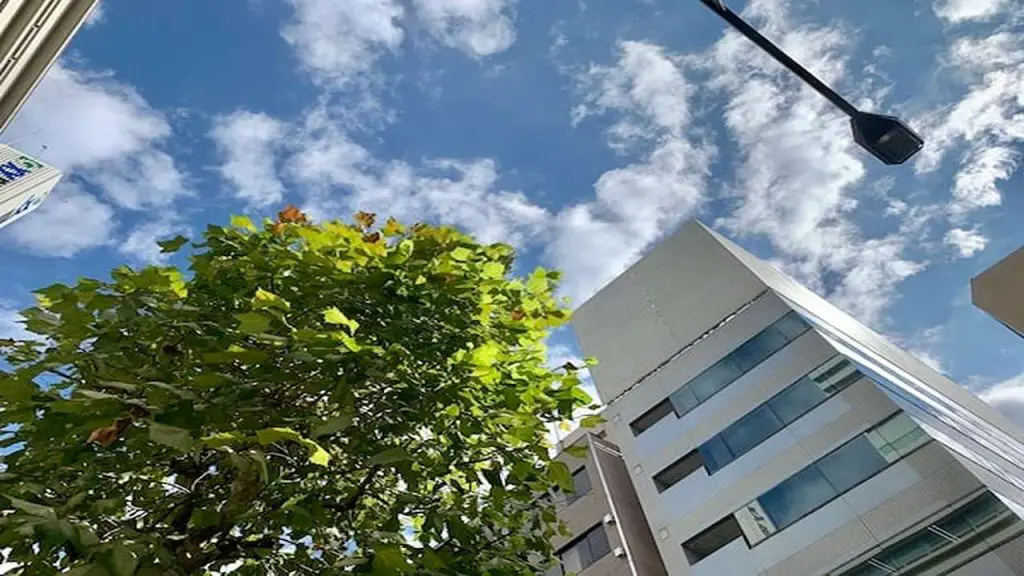 hospital